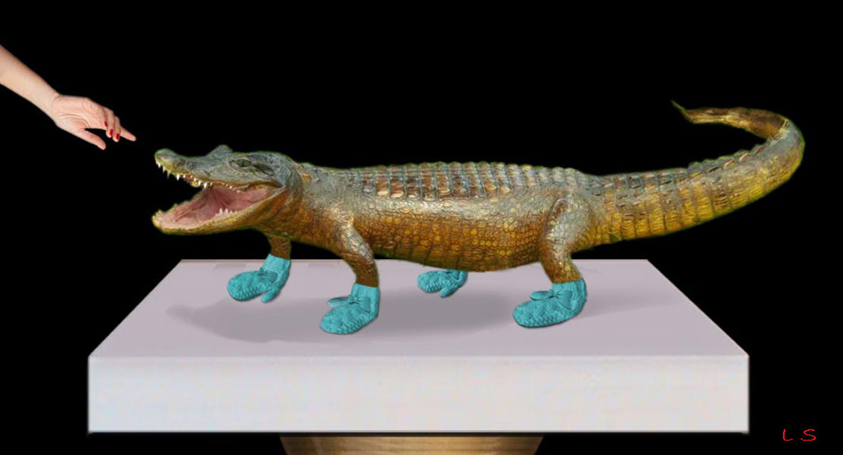 MittyGator