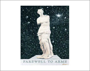 farewell to arms