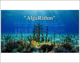 alga rithm