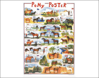 poster pony